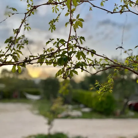 Farm stay Masseria Chiancarella Fasano